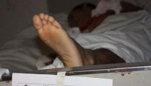 muertoporromo