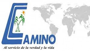 periodiicocamino