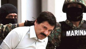 chapoguzman01