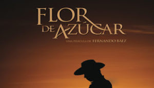 flordeazucar