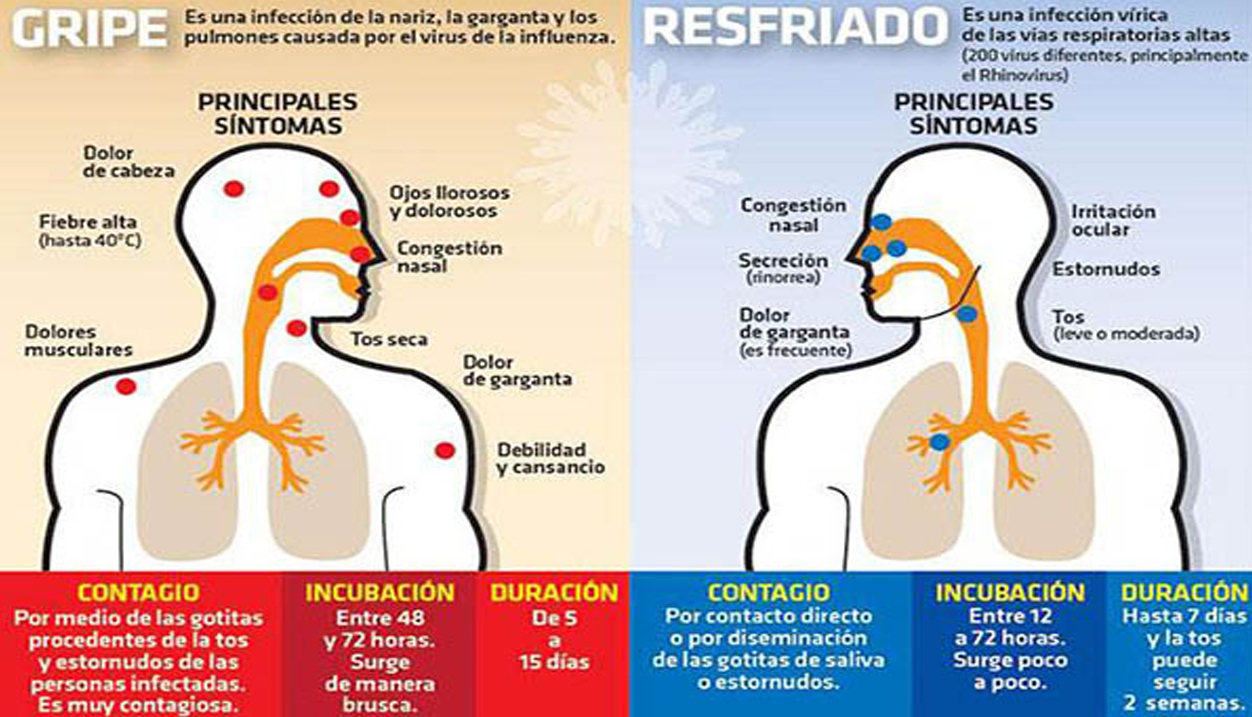 Claudio Concepcion C Mo Saber La Diferencia Entre Gripe Y Resfriado Com N